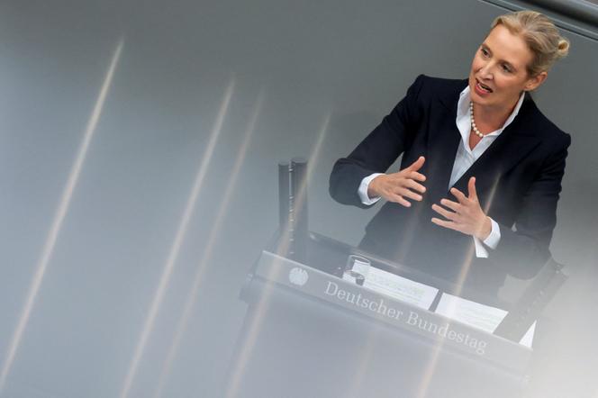 L&rsquo;AfD victime d&rsquo;une cyberattaque entraînant une fuite massive d&rsquo;e-mails