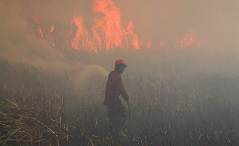 Lutte contre les incendies de forêt en Indonésie