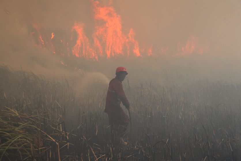 Lutte contre les incendies de forêt en Indonésie