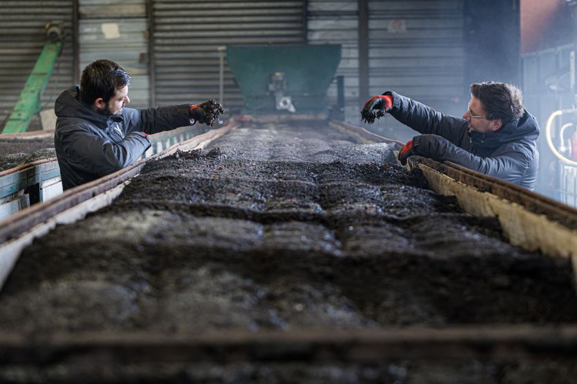 Les vers de terre, des acteurs économiques essentiels