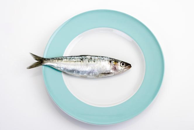 L&rsquo;engouement pour les sardines : l&rsquo;effet « glow » en question