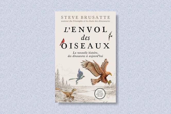 L&rsquo;évolution des oiseaux depuis les dinosaures