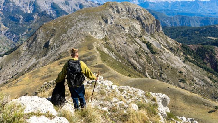 La loyauté d&rsquo;un labrador sauve un randonneur blessé près du glacier du Dachstein
