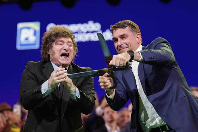 Controverse autour de l&rsquo;aide supposée de Javier Milei à Flavio Bolsonaro