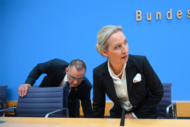 L&rsquo;AfD et son Offensive Anti-Genre en Allemagne