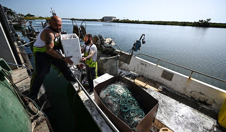 Mesures d&rsquo;aide pour les pêcheurs face à la crise du carburant