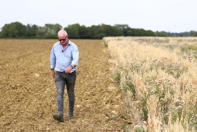 Les Changements de Subventions Agricoles Post-Brexit au Royaume-Uni