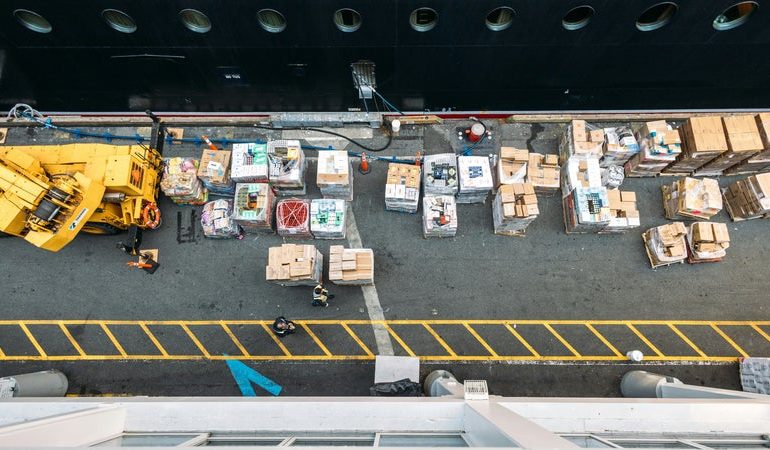 Les dockers français et européens en grève massive : raisons et conséquences