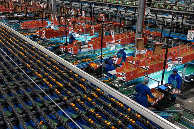 Croissance économique en hausse en Afrique subsaharienne