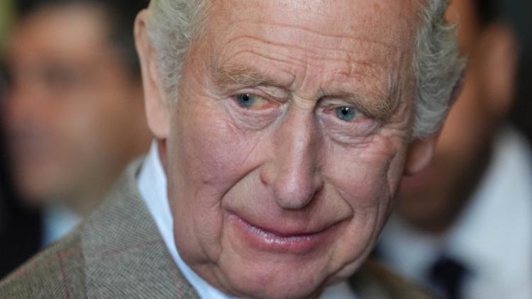 Burberry Utilise une Aquarelle de Charles III pour sa Collection Capsule