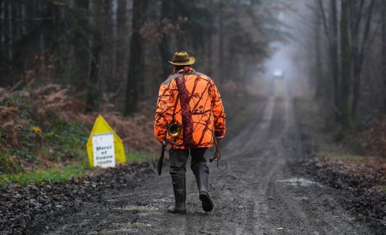 Conflit entre Chasseurs et Trailers en Forêt
