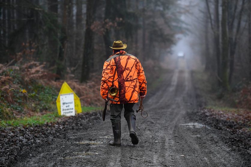 Conflit entre Chasseurs et Trailers en Forêt