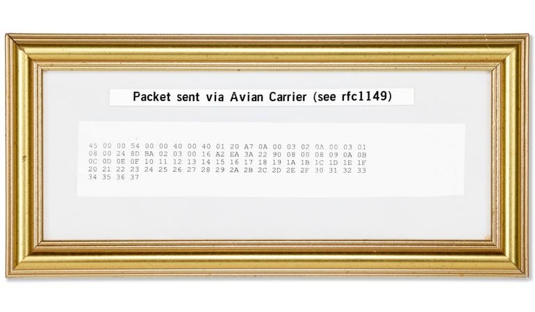 L&rsquo;histoire fascinante du protocole Internet par pigeon voyageur