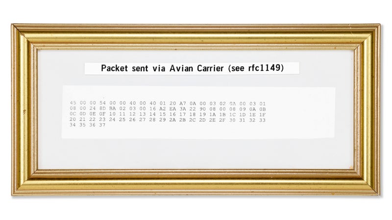 L&rsquo;histoire fascinante du protocole Internet par pigeon voyageur