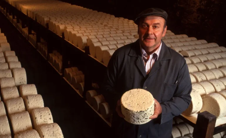 Analyse des Microorganismes dans les Fromages des Alpages Suisses