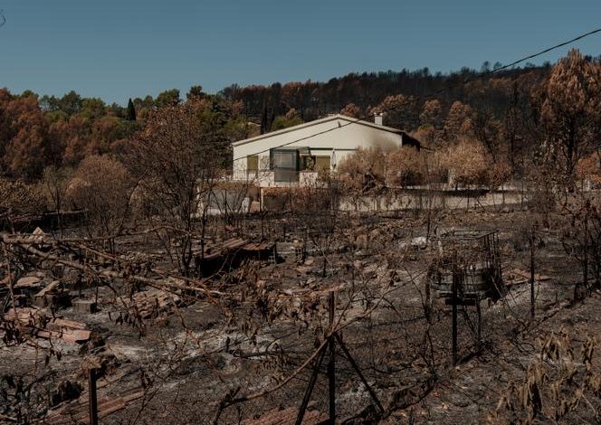 L&rsquo;impact économique des incendies de forêt dans le Var