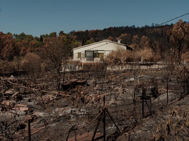 L&rsquo;impact économique des incendies de forêt dans le Var