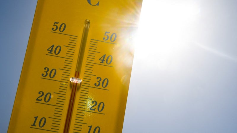 El Niño: Intensité exceptionnelle et impact sur le climat mondial