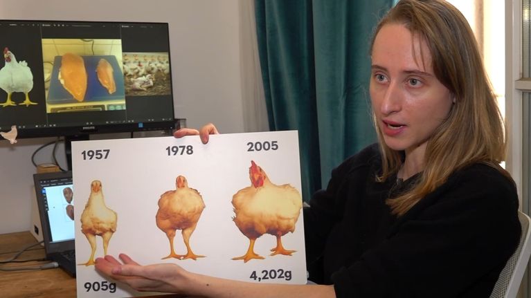 Enquête sur la consommation et les méthodes d&rsquo;élevage de poulets en France