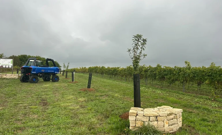 Initiatives de la maison de cognac pour lutter contre le changement climatique