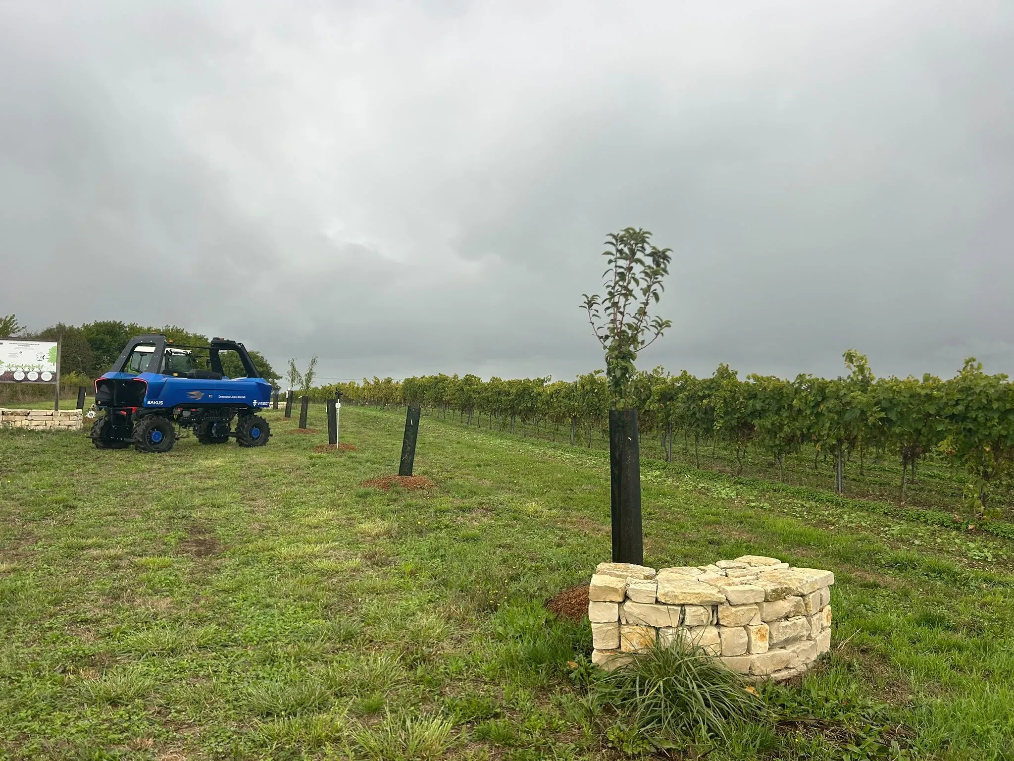Initiatives de la maison de cognac pour lutter contre le changement climatique
