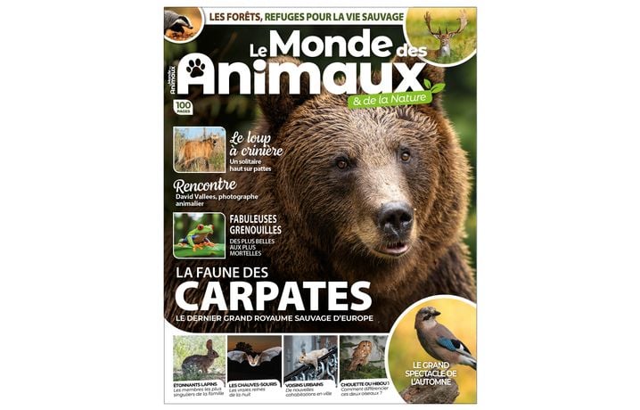 Un aristocrate des campagnes né pour la quête